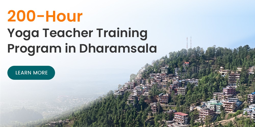 formazione degli insegnanti di yoga Dharamsala