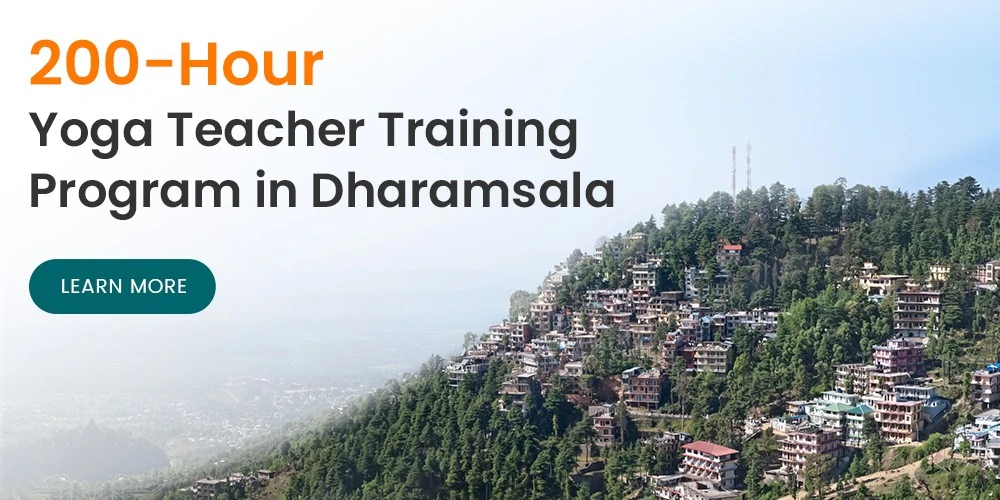 yoga teacher training Dharamsala
