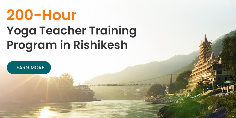 Yoga Teacher Training in Rishikesh