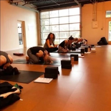 the top yoga teacher training schools in atlanta