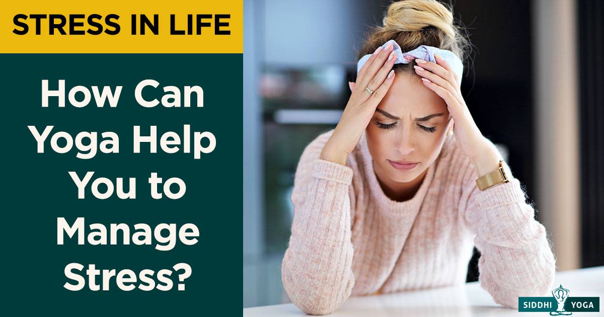 ストレス管理のためのヨガ ストレス解消のためのヨガのポーズ