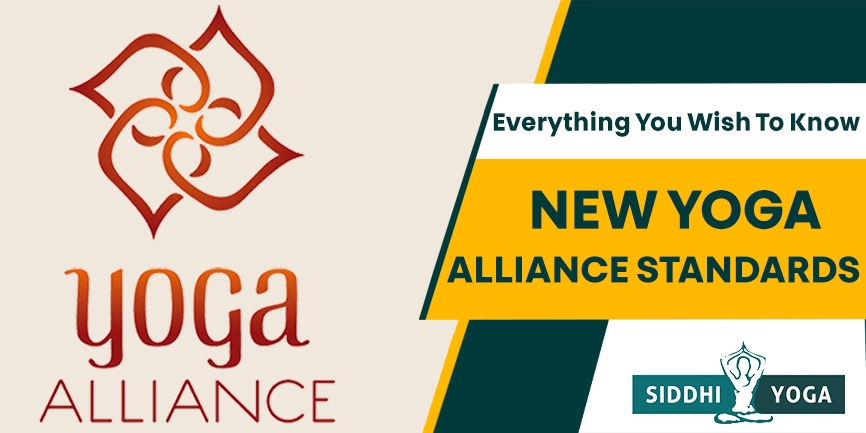 neue Standards der Yoga Alliance 866x433