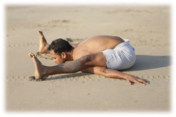 programmes de formation de professeur de yoga portugal