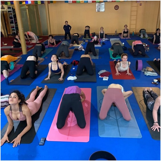 Programas de entrenamiento de yoga en Nueva York