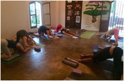 best yoga training program mexico