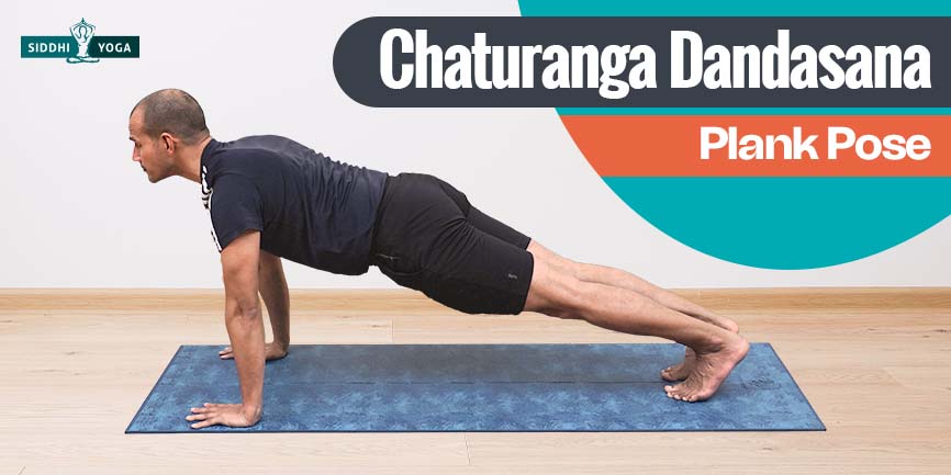 step5 Chaturanga dandasana 平板支撑姿势