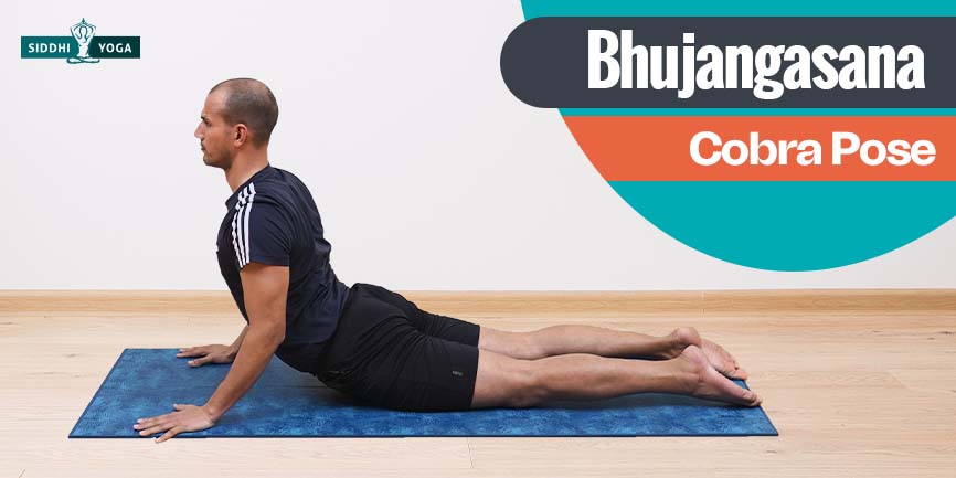 passo 7 bhujangasana posa del cobra