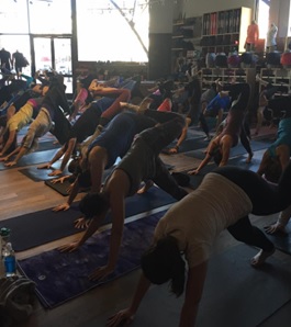 melhor treinamento para professores de yoga em ohio