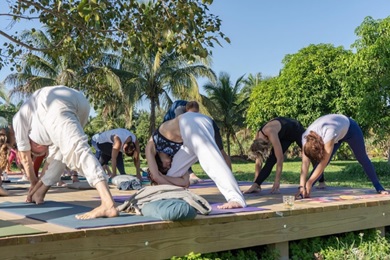 meilleurs programmes de formation de professeur de yoga en Floride