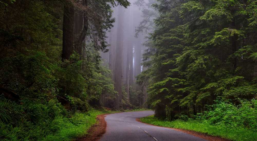 West Bali Nationalpark