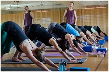 yoga teacher training edmonton 