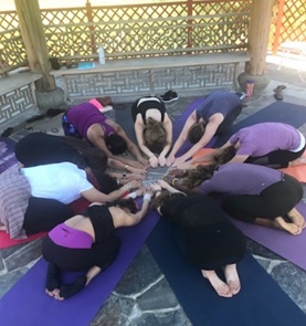 formation de professeur de yoga floride