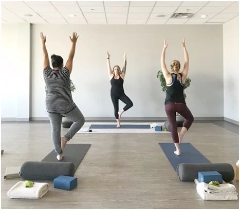 yoga teacher training in edmonton