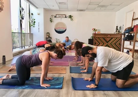 yoga teacher training in honolulu 