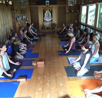 programmi di formazione per insegnanti di yoga in hawaii