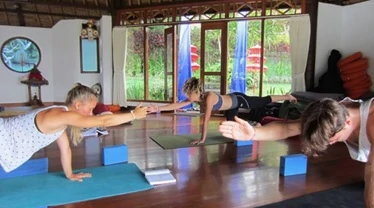 best yoga teacher training in new zealand 