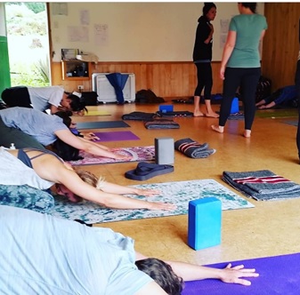 beste Yoga-Trainingsprogramme Neuseeland