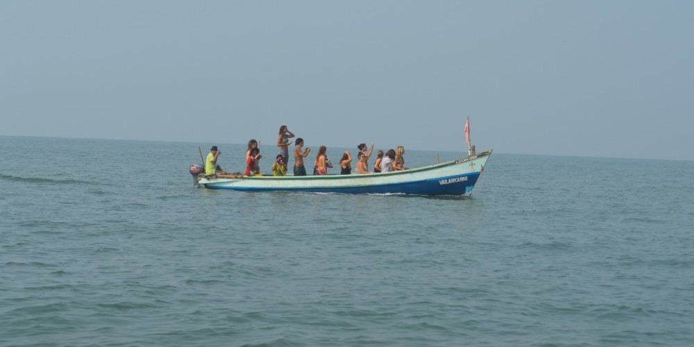 ডলফিন ট্রিপ
