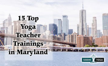 yoga teacher training in maryland