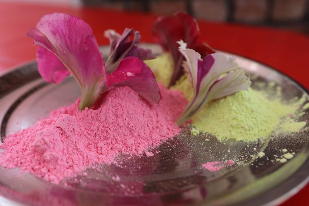 pourquoi est célébré Holi