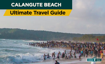 calangute beach ultimate travel guide