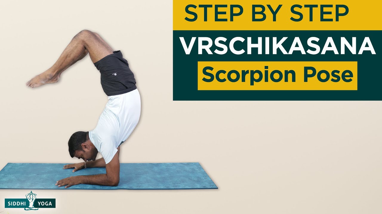 Vrschikasana (Scorpion Pose) Benefits, Contraindications, How to Do by Yogi  Ritesh- Siddhi Yoga, image size:1280x720