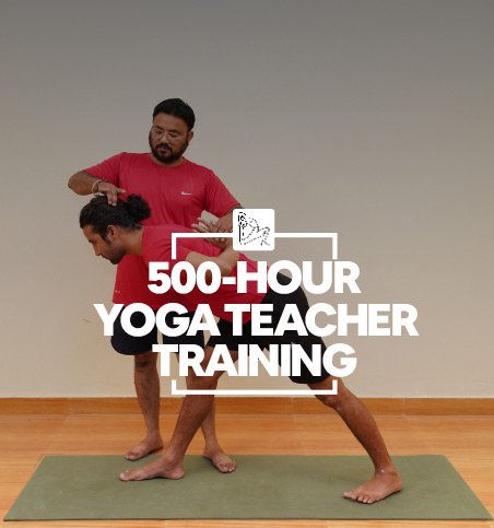 Formation de professeur de yoga en ligne de 500 heures 2022