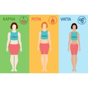 tipos de cuerpo