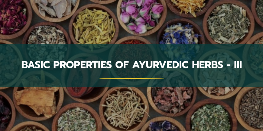 the basic properties of Ayurvedic herbs