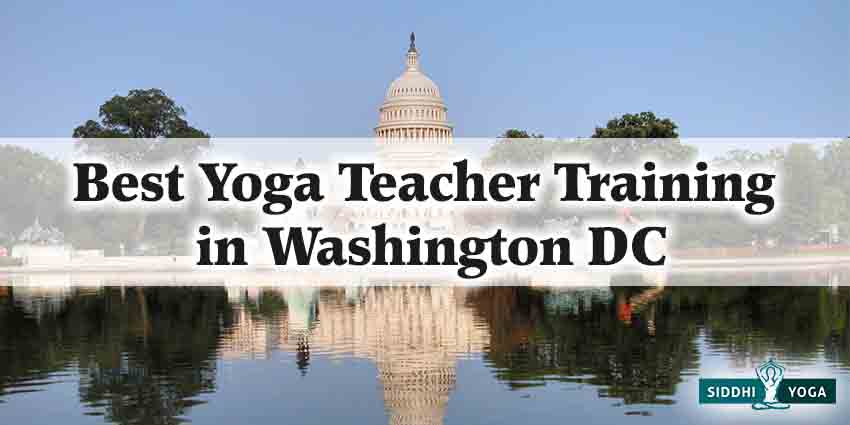 أفضل تدريب لمعلمي اليوجا في واشنطن العاصمة