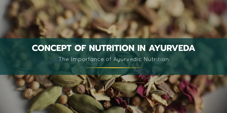 Ayurveda concepto de nutrición