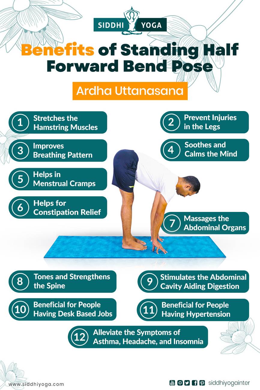 Note: Consult a doctor before beginning an exercise regime Stretches:  Hamstring, Thigh, Inguinal region Preparatory poses: Uttanasana, Ba... |  Instagram