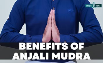 how to do anjali mudra