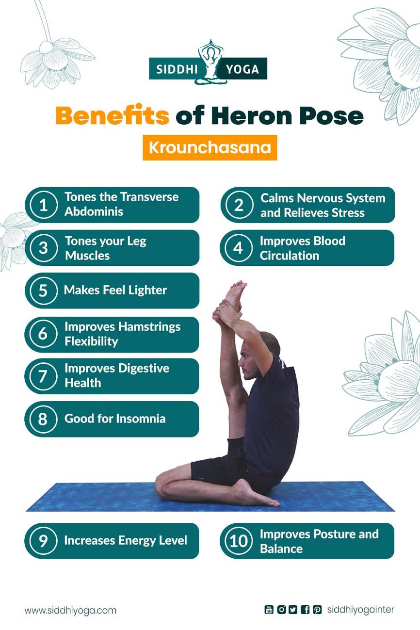 benefits of heron pose