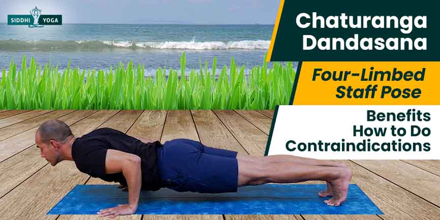 6. Postura do Bastão em Quatro Apoios (Chaturanga Dandasana);