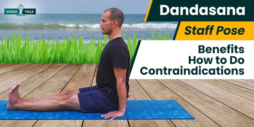 Yoga; A Deep Communion | Dandasana ( Staff Pose) & its benefits | PMC  English - YouTube
