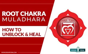 how-to-heal-and-balance-imbalanced-root-chakra