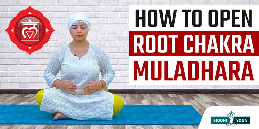 Ultimate Guide to Root Chakra Healing - Chakra Practice