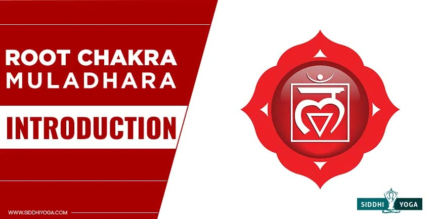 root chakra introduction
