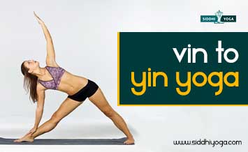 Vin zu Yin Yoga