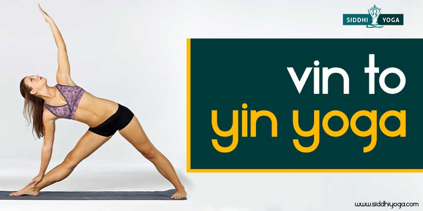 Vin to Yin Yoga, an Overview