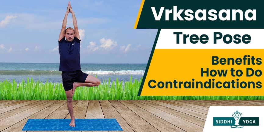 5 Yoga Poses to Counter Sitting | Blog l Virgin Active Thailand