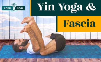Yin Yoga und Faszien