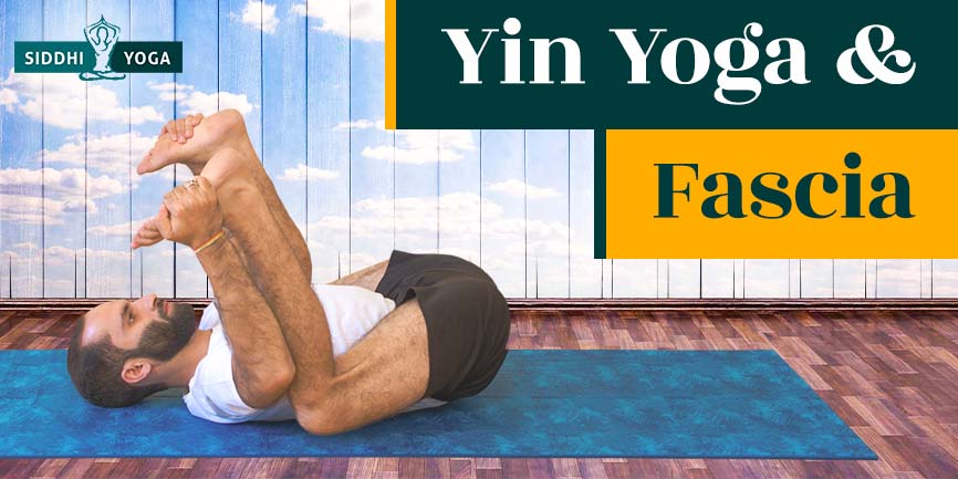 yin yoga y fascia