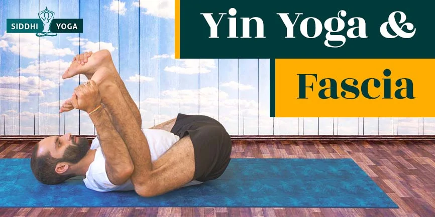 yin yoga and fascia