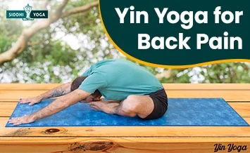 yin yoga for back pain