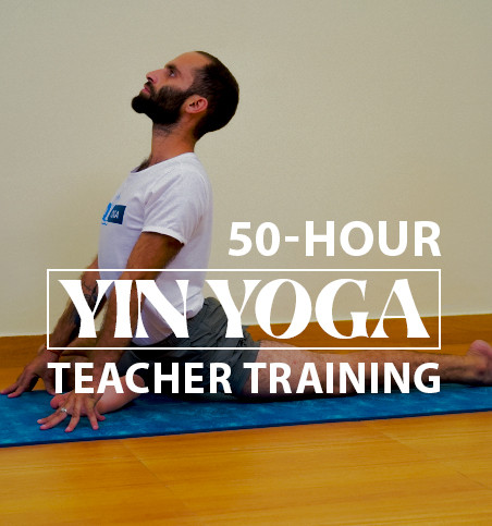 yin yoga teacher training 2023
