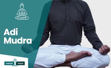 adi mudra