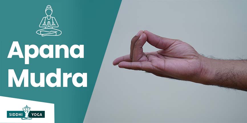 apana mudra