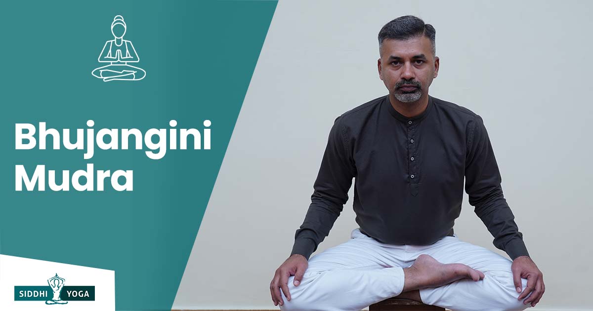 Bhujangini Mudra: Meaning, Benefits & How to Do |Siddhi Yoga